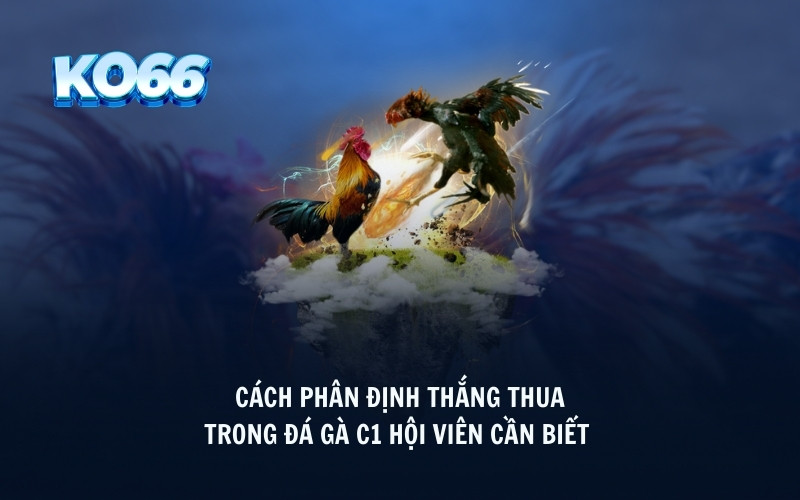 Cách phân định thắng thua trong đá gà C1 hội viên cần biết 