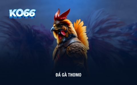 Đá Gà Thomo KO66 - Chi Tiết Về Luật, Mẹo Chơi Bất Bại