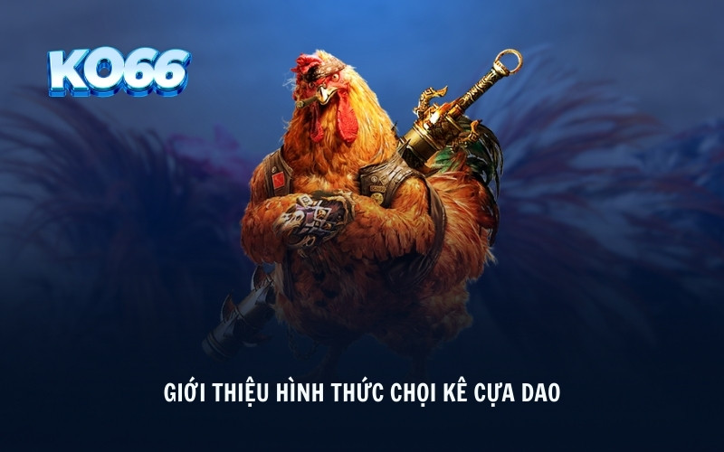 Giới thiệu hình thức chọi kê cựa dao