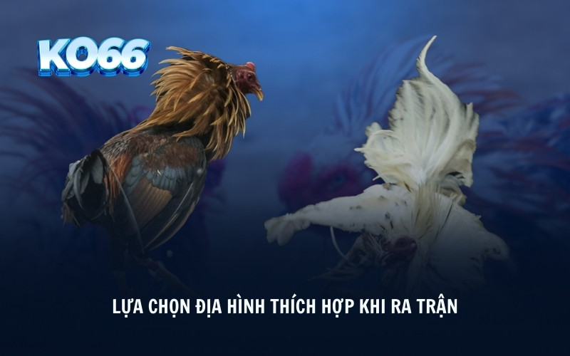 Lựa chọn địa hình thích hợp khi ra trận 