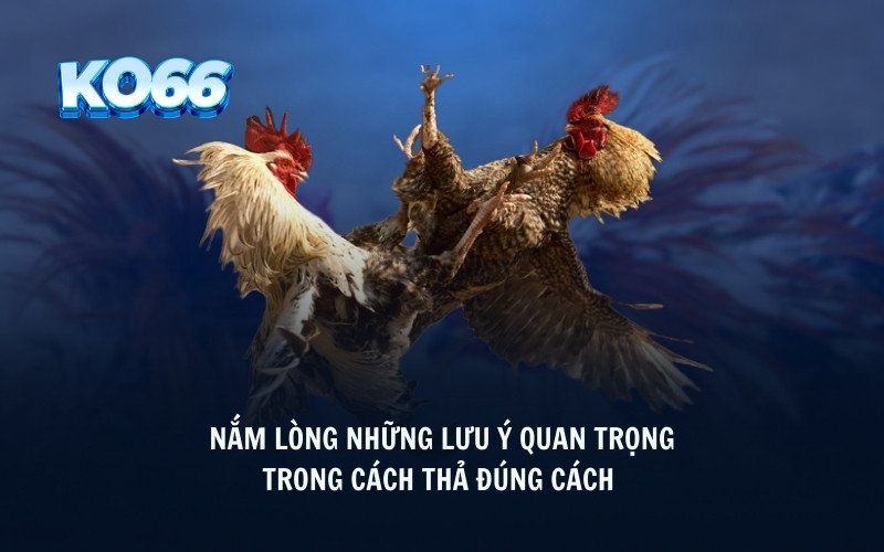 Nắm lòng những lưu ý quan trọng trong cách thả đúng cách 