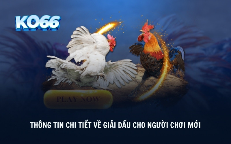 Thông tin chi tiết về giải đấu cho người chơi mới 